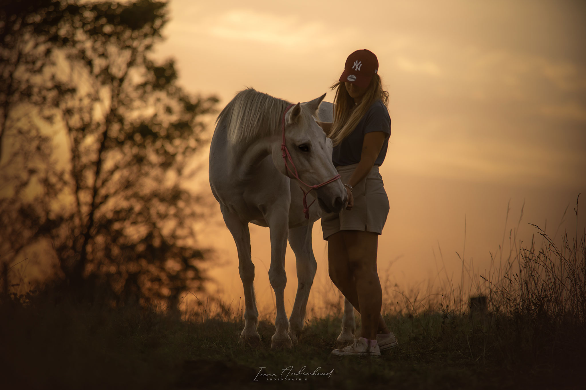 Cheval blanc et sa propriétaire au coucher de soleil